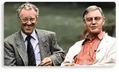 实力解答种植牙到底用多久?